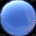 1591645221.jpg
