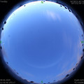 1591645281.jpg