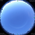 1591645522.jpg