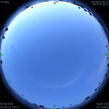 1591645792.jpg