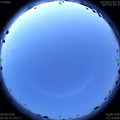 1591645852.jpg