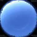 1591646002.jpg