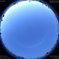 1591646122.jpg