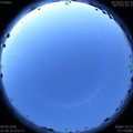 1591646332.jpg