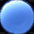 1591646392.jpg