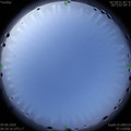 1591651825.jpg