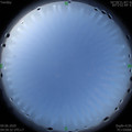 1591653580.jpg
