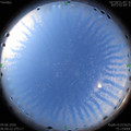 1591657242.jpg