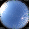 1591658818.jpg