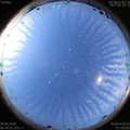 1591659614.jpg