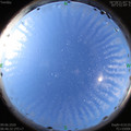 1591660004.jpg