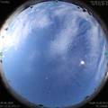 1591661609.jpg