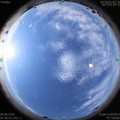 1591663575.jpg