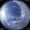 1591664776.jpg