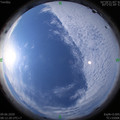 1591665166.jpg