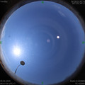 1591671484.jpg