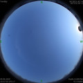 1591707487.jpg