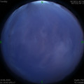 1591726817.jpg