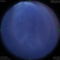 1591727717.jpg