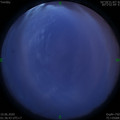 1591727837.jpg
