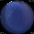 1591727957.jpg