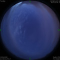 1591728017.jpg