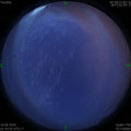 1591728257.jpg