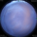 1591730013.jpg