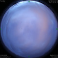 1591730073.jpg