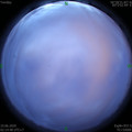 1591730133.jpg