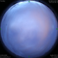 1591730193.jpg