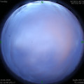 1591730253.jpg
