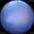 1591730343.jpg