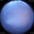 1591730403.jpg