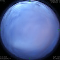 1591730538.jpg