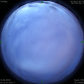 1591730583.jpg