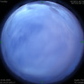 1591730704.jpg