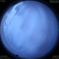 1591734485.jpg