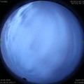 1591734545.jpg