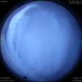 1591734996.jpg