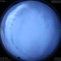 1591735116.jpg