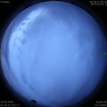 1591735176.jpg