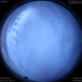 1591735296.jpg