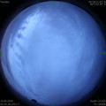 1591735371.jpg
