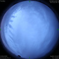 1591735491.jpg