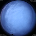 1591736166.jpg