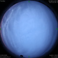 1591737031.jpg