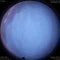 1591737517.jpg