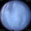 1591738477.jpg