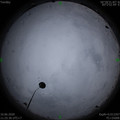 1591763150.jpg